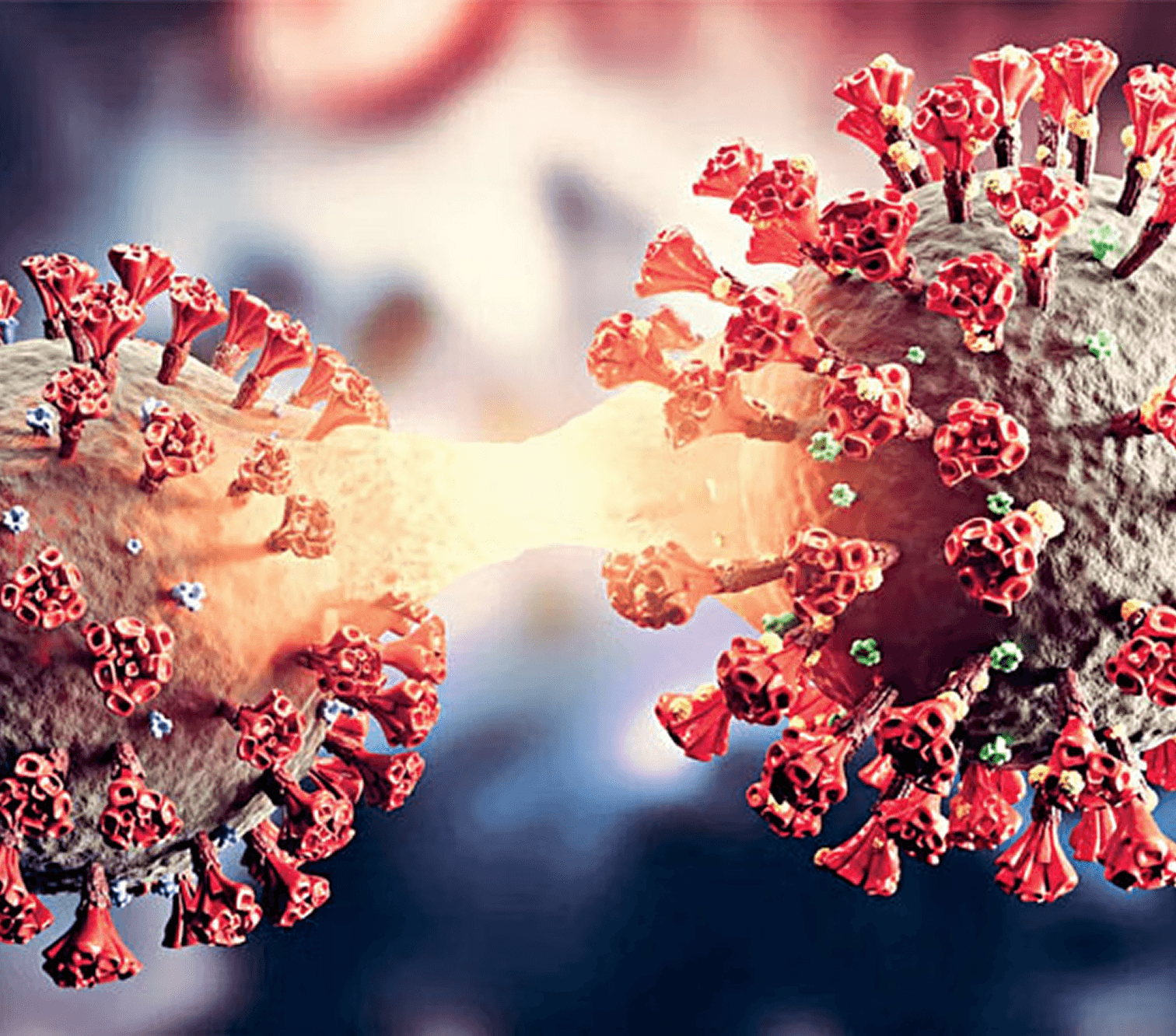 Viral by Design